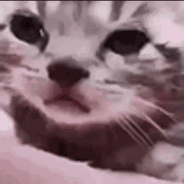 No reaction gif